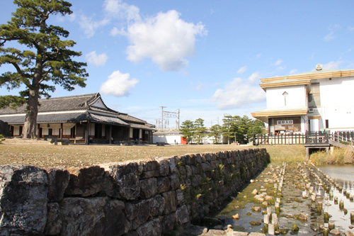 �ǂ܂񒆒���