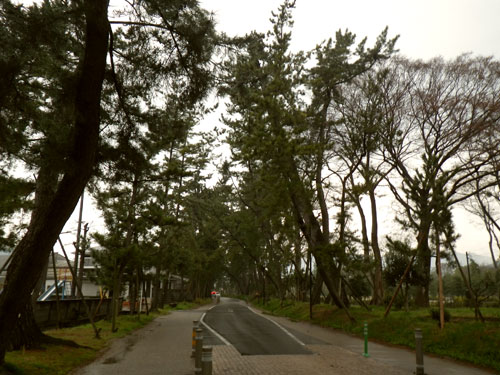 �ǂ܂񒆒���