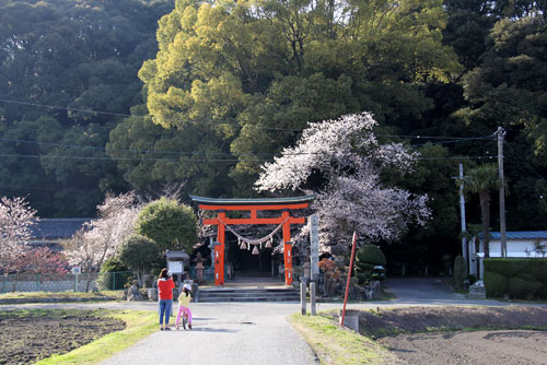 �ǂ܂񒆒���