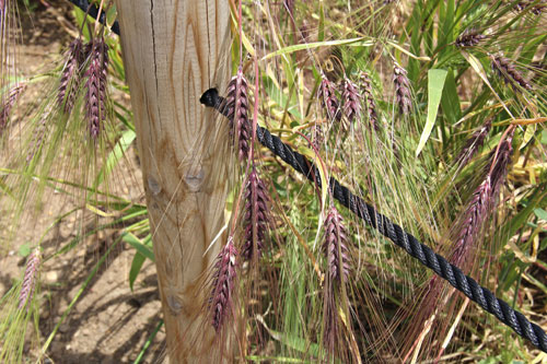 ����h�k���