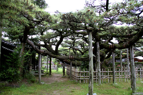 ����h�k���