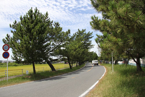 ������