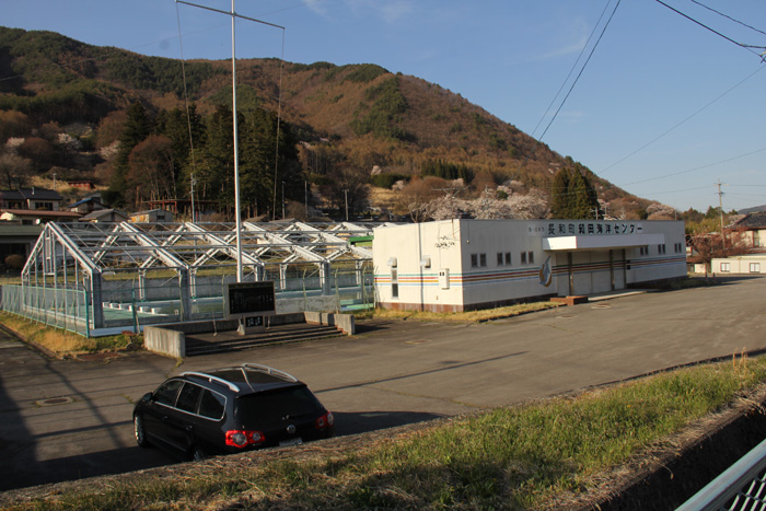 長和町和田海洋センターはプール