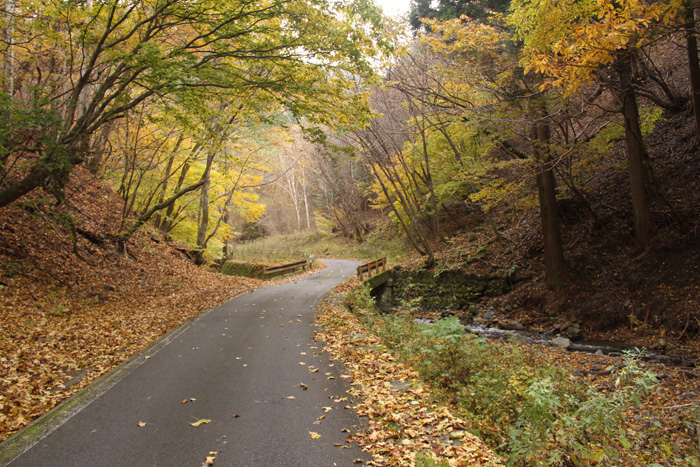 桜沢沿いを進む