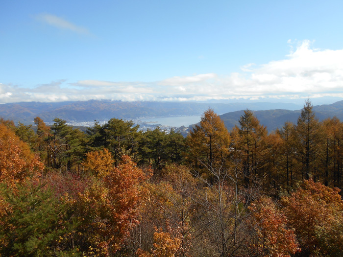 小野峠南のしだれ栗展望台から諏訪湖方面