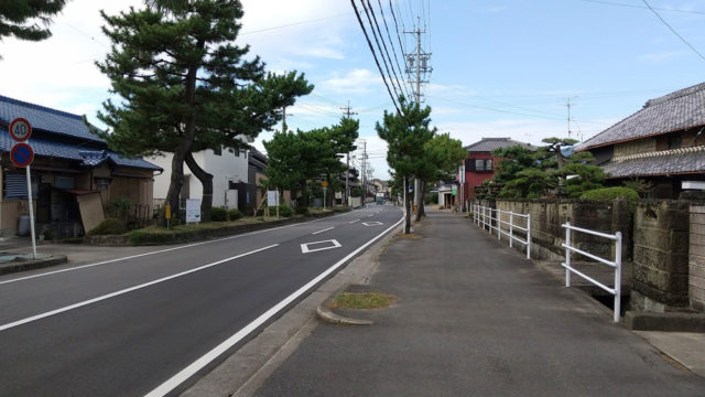 東海道。安城市の旧道は、所々松並木が残っていて雰囲気がある