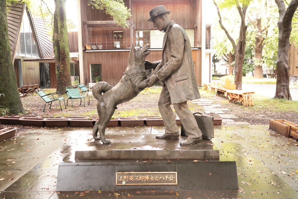 東大の敷地内にある上野博士とハチ公像