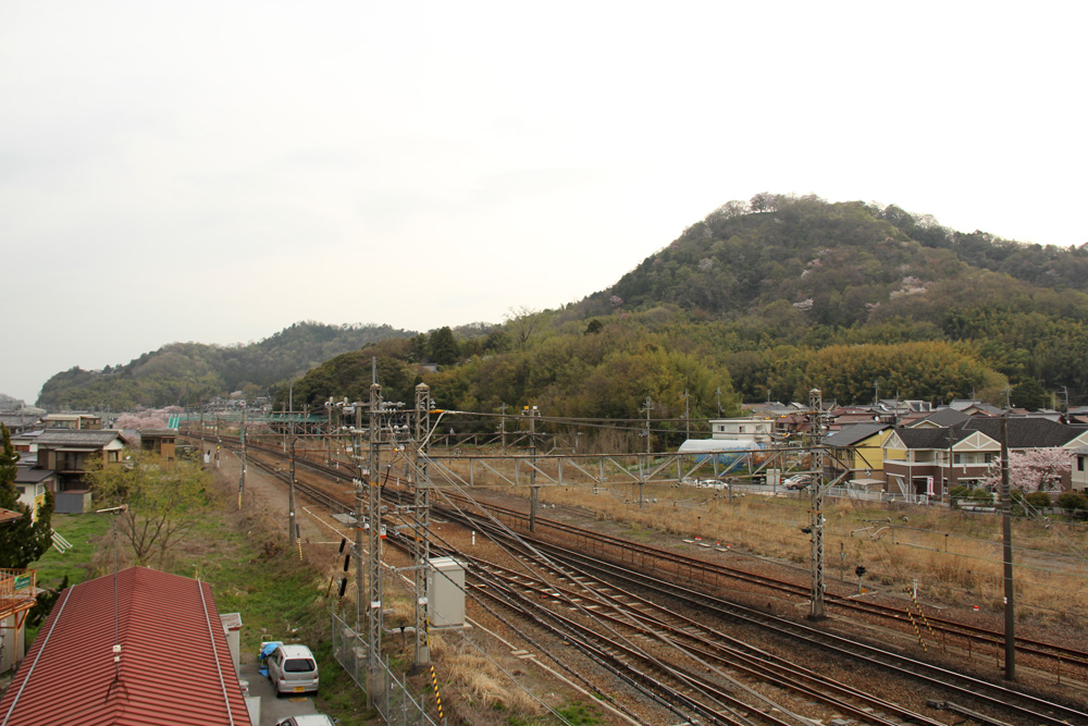 彦根駅北側から佐和山城跡を見る