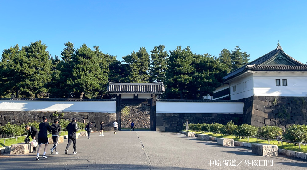 中原街道 外桜田門 ホントに歩く中原街道