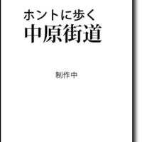 ホントに歩く中原街道（仮）