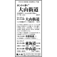 東京新聞　2025年11月21日　朝刊　サンヤツ　ホントに歩く大山街道　中原街道　ロッキーの日